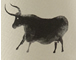 2011 Krinklewood Chardonnay