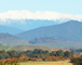 Tumbarumba