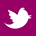Share on twitter