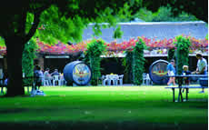 Jacaranda Restaurant Houghton ine Company